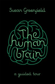 The Human Brain