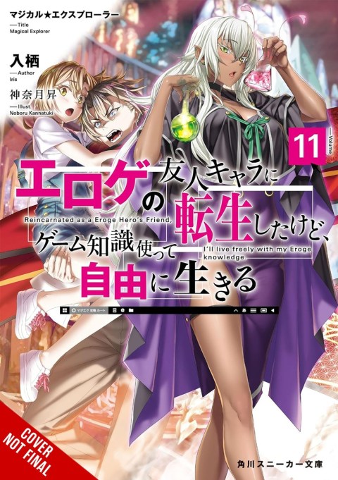 Magical Explorer, Vol. 11 (light novel)