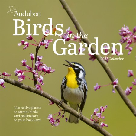 Audubon Birds in the Garden Wall Calendar 2027