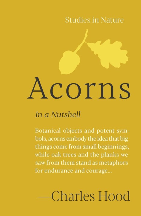 Acorns